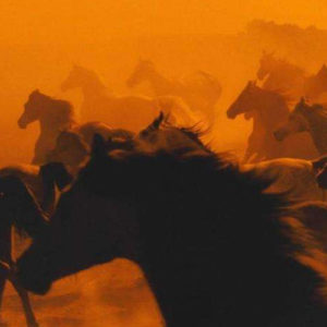 Poesías - Fabiana Fondevila