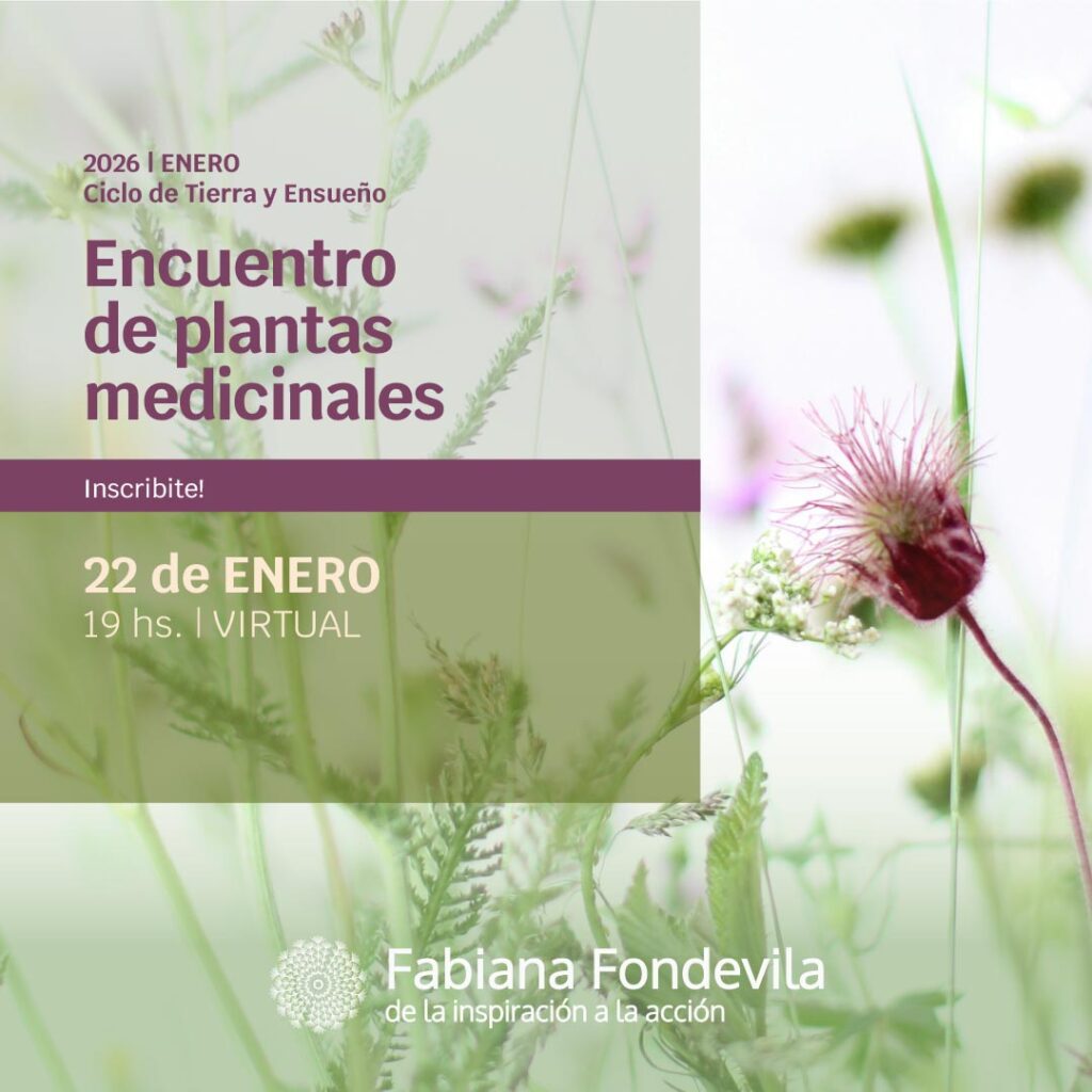 Encuentro de plantas medicinales