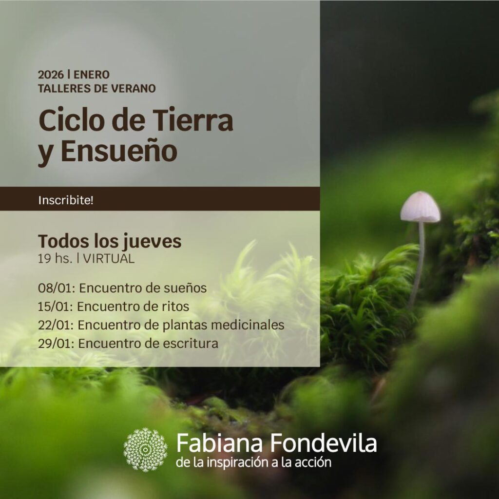 Talleres de verano - Ciclo de Tierra y Ensueño